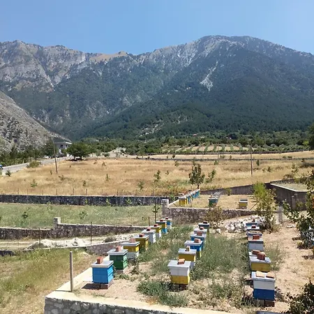 Ari's Cozy 3*